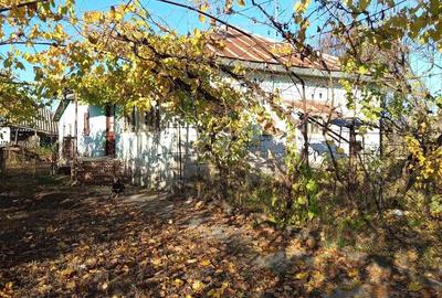 Casă cu Teren 2160 Mp în Gănești - 5