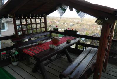 Casă cu 3 camere cu Teren 85 Mp în Probota - 3