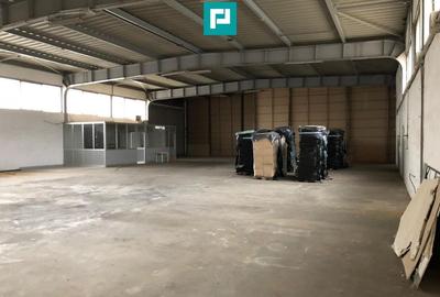 Hală cu teren intravilan de 3500 mp, în Sebiș Arad - 24