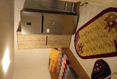 Ofer spre inchiriere garsoniera la curte - 3