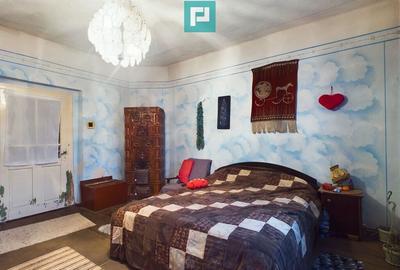 Reziden?a de vis pe Valea Mure?ului la Lala?in? - 13