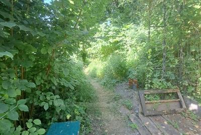 Apartament cu o camera, parcare inclusa + curte comuna - 15