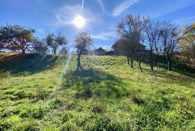 Casă cu 4 camere cu Teren 3400 Mp în Cornițel - 8