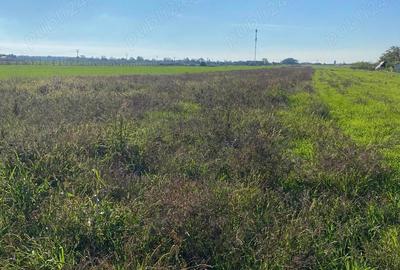 Teren de 10198 mp, în Bujac - 2