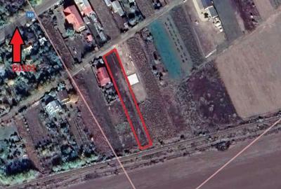 Spațiu comercial, în Dridu - 6