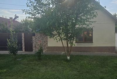 Casă cu Teren 1700 Mp în Grabaț - 3
