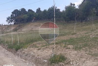 Teren de 1000 mp, în Central