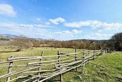 Teren Construcții intravilan de 8200 mp, în Câmpina - 5
