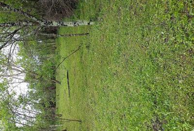 Teren de 1860 mp, în Valea Unghiului - 8