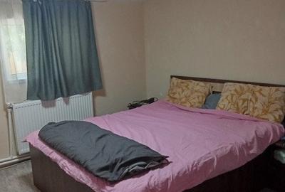 Casă individuală cu 9 camere cu Canalizare în Săcădat - 20
