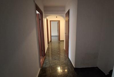 Ciresica - ap 3 cam , parter (gaze la usa ) - 3