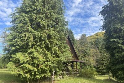 Cabana de vanzare  Firiza - 5