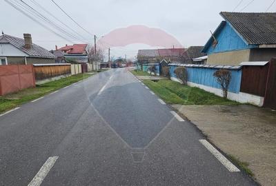 Casă bătrânească + teren 1581 mp în sat Holt, comuna Letea Veche - 4