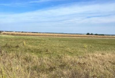 Teren de 2480 mp, în Rădăuți - 3