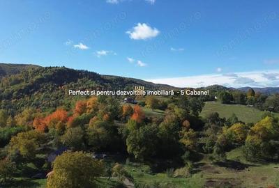 Teren de 3500 mp, în Cacica - 3