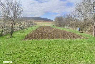 Casă cu 3 camere cu Teren 1542 Mp în Gilău - 4