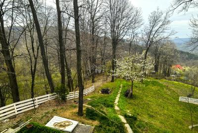 Proprietate Breaza de vis , zona de vis , prezentarea agentului , de vis Proprietate Breaza de vis , zona de vis , prezentarea agentului , de vis - 20