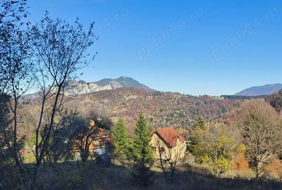 Teren în Central - 4