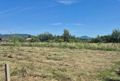 Teren de 3000 mp, în Merișor - 4