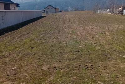 Teren de 3460 mp, în Dumbrava - 3