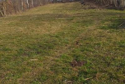 Teren de 2164 mp, în Mărgineni