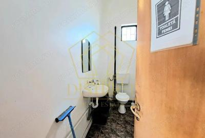 Hala de depozitare, productie | ?agului | Steaua Hala de depozitare, productie | ?agului | Steaua - 5