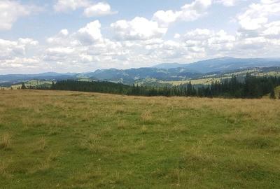 Teren de 160000 mp, în Breaza - 5