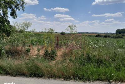 Teren de 16500 mp, în Vărăști - 11