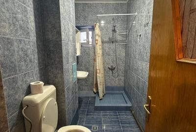 Garsonieră decomandată, mobilată în Nicolae Grigorescu - 6