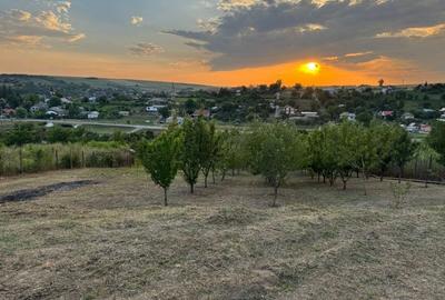 Spațiu comercial, în Vulturi - 5