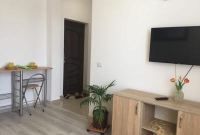 Garsonieră luminoasă, 30 mp, etaj 2/3 – zonă liniștită - 3