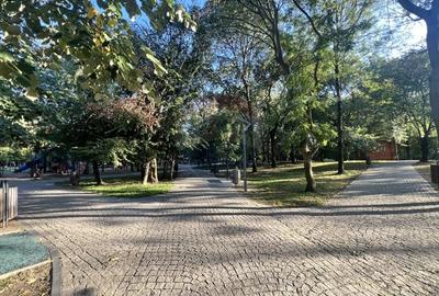 Apartament cu 3 camere complet renovat ARENA NATIONALA Apartament cu 3 camere complet renovat ARENA NATIONALA - 33