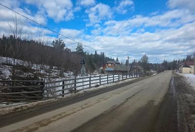 Teren intravilan de 15000 mp, în Gura Haitii - 7