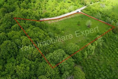 Teren de 8387 mp, în Corbi - 1