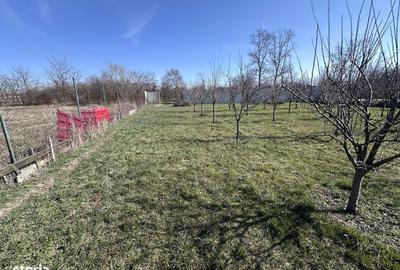 Teren de 600 mp, în Mischii - 1