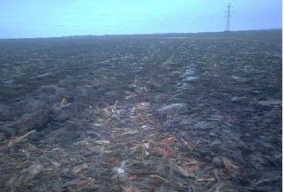 Teren de 4050 mp, în Popricani - 7