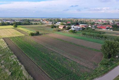 Teren de 1623 mp, în Borș - 1