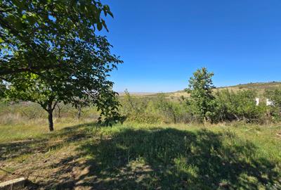 Teren extravilan de 8472 mp, în Ghioroc - 4