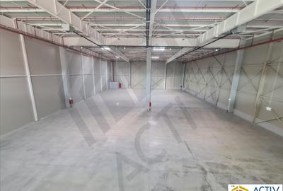 Hale moderne de inchiriat in Villar Logistics Park Bucharest West - 3