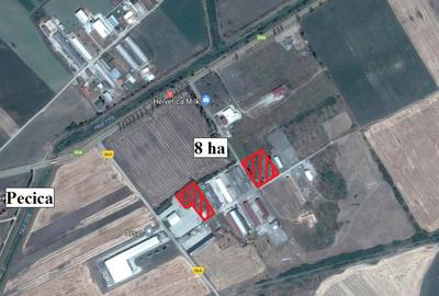Teren de 80000 mp, în Central