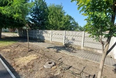 Vind casă in Voiteg Timis - 3