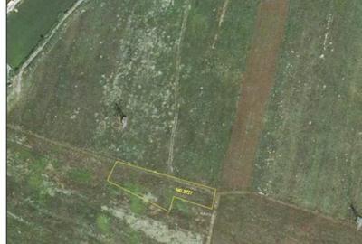 Teren INTRAVILAN SAFTICA 2545 MP - Parcelabil; deschidere 1 - 3