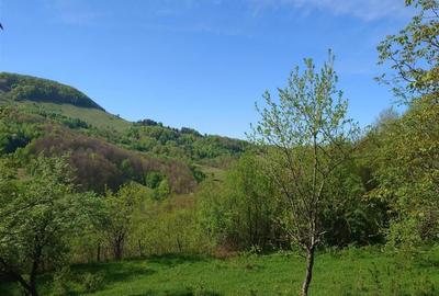 Teren intravilan si cladire in Apuseni, Blajeni, Hd - 13