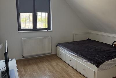 Apartament cu 3 camere decomandat în Roșu - 7
