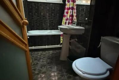 Apartament cu 2 camere semidecomandat, mobilat în Brazda lui Novac - 1
