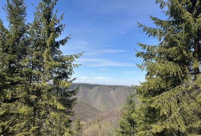 Spațiu comercial, în Mărișel - 4