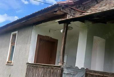 Casa de vanzare la tara - 3