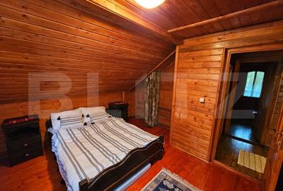 Casa de vacanta cu 4 camere,3300 mp teren,Valisoara - 6