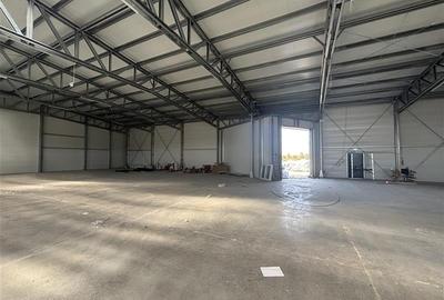 Inchiriere depozit/hala/spatiu industrial Mogosoaia - Buftea - 8