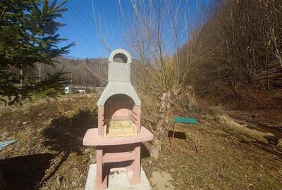 Iaz de vanzare in Apuseni- cazare, agrement si pescuit la DN74 - 16